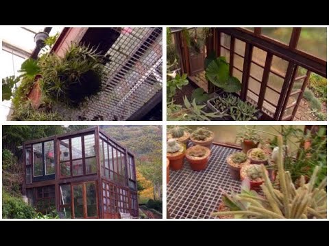 Video: Invernadero con ventanas viejas - Cómo construir un invernadero con materiales reciclados