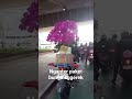 nganter paket bunga aggerek