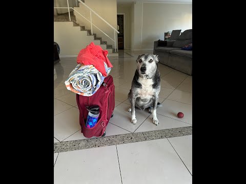 PEPPO QUERIA VIAJAR COMIGO -Tia Sami