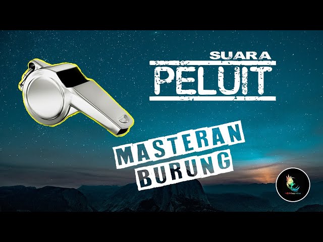 Suara Peluit Lantang Untuk Masteran Burung class=