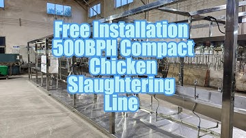 Free-Installation 500BPH Compact Chicken Slaughtering Line |Plug & Play Poultry Processing Equipment