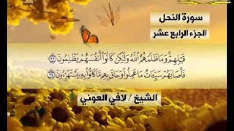 سورة _النحل_(قناة الاترجة)_قراءة مؤثرة للشيخ/لافي العوني