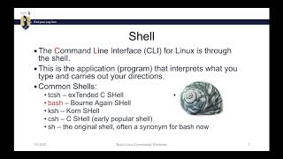 UNC Greensboro, Live Coding Basic Linux Commands, Workshop Day1