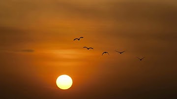 سورة الكهف بصوت القارئ الشيخ نعمه الحسان #قرآن #نعمة_الحسان