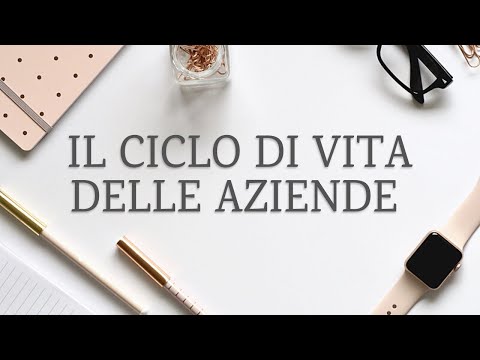 Video: Gioco sciocco