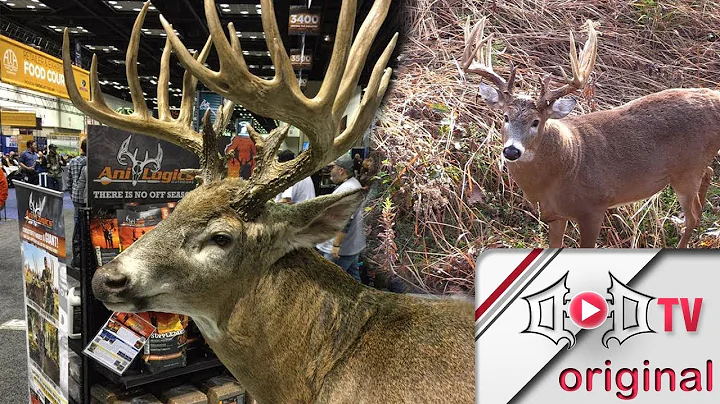 Mark Drury's 217" Iowa GIANT Comes Back to Life!