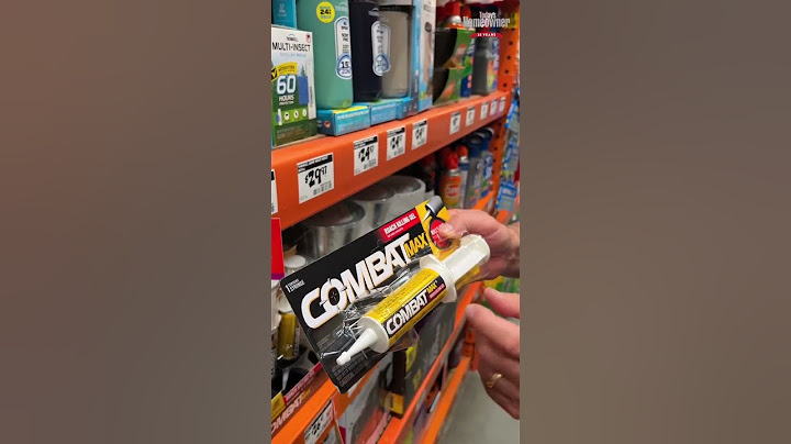 The BEST Way to Eliminate Roaches!