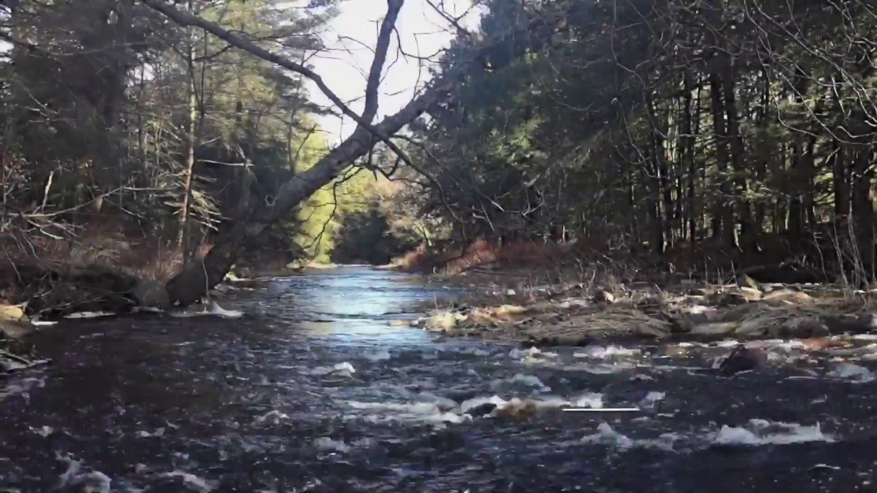 Journey Along to Bear Creek Village, Pennsylvania YouTube