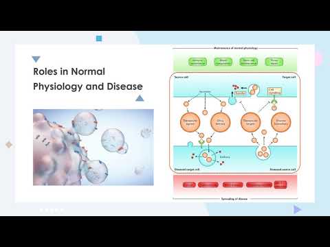 Video: Mekanisme Yang Berkaitan Dengan Biogenesis Exosomes Dalam Kanser