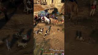 BDO sagt einfach NEIN zu meinen Upgrades 😡📉#bdo #gaming #mmorpg #shorts