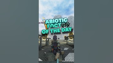 Abiotic Fact of The Day - no sockets is crazy bru #abioticfactor #facts