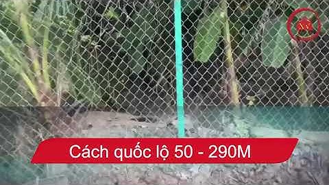 Đất nền Cần Đước - Long An giá rẻ . Www.batdongsanxuyenviet.com