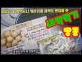 땅콕새싹전만들기/병아리콩밥만들기/making ground sprout/cucumber rice