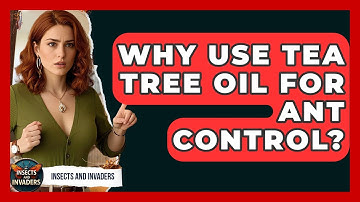 Why Use Tea Tree Oil For Ant Control? - Insects and Invaders