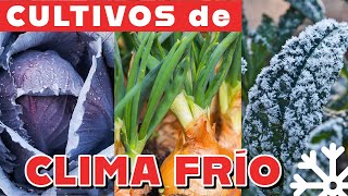 Qué sembrar en Otoño en la huerta. 8 cultivos de clima frio