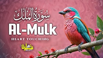 Surah Al Mulk سورة الملك | Cure Anxiety, Stress, and Depression | Zikr E Quran