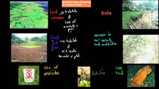11. Human impact on environment (Preliminary biology)