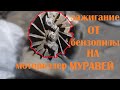 мотороллер Муравей / часть 1 / ставим зажигание с китайской бензопилы