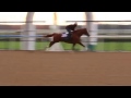 CALIFORNIA CHROME WORKS AT MEYDAN RACECOURSE