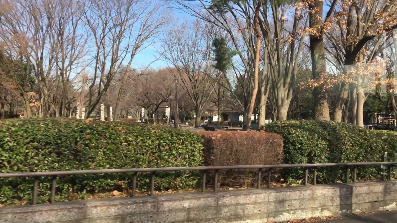 京王バス 前面展望 車窓 武蔵小金井駅南口→調布駅北口/ 武91系統武蔵小金井1254発