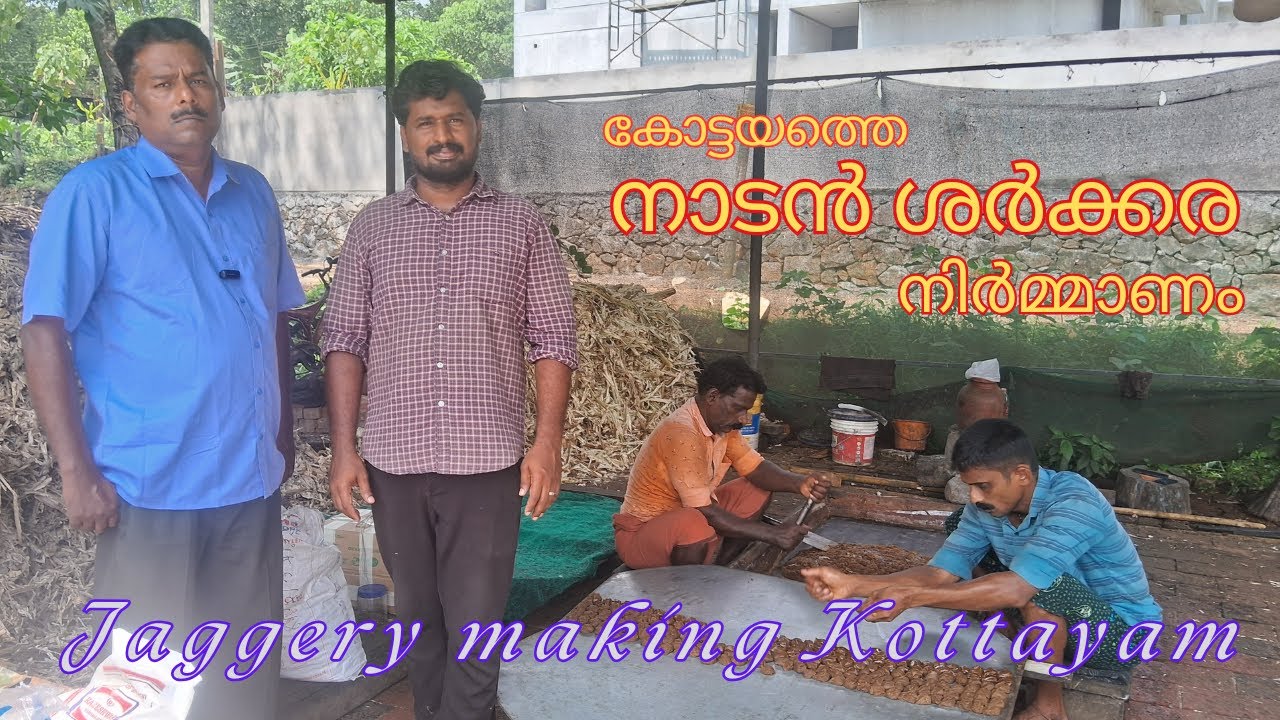 Jaggery Making @Kottayam || കോട്ടയത്തെ നാടൻ ശർക്കര നിർമ്മാണം || How to Make Jaggery