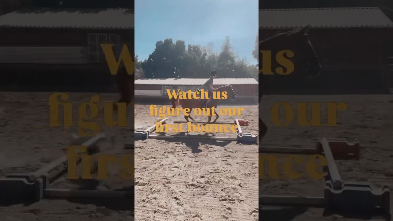 Green horse figures out a bounce | 