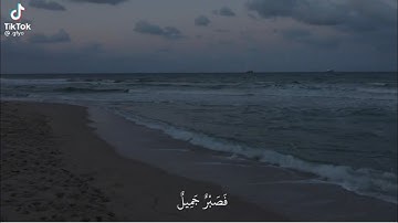 القارئ محمد هشام |سورة يوسف #قرآن #محمد_هشام #سورة_يوسف