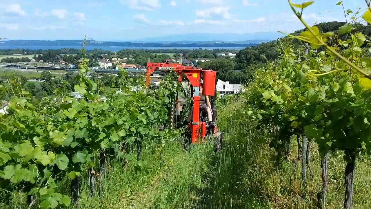 Tracteur à chenilles LOEFFEL Viti-Plus 95 av Machine à Palisser