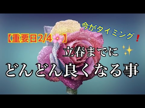 【衝撃の展開】重要日2/4🌸立春までに❗️どんどん✨良くなる事🌈恐ろしいほど当たるルノルマン🔮