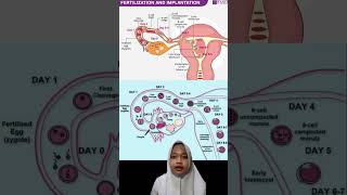 Teresya Amanda Putri 2515401071Sistem Reproduksi