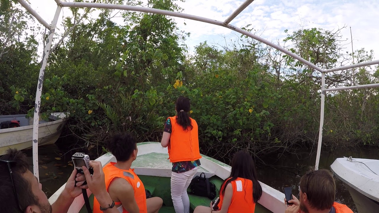 Shut up CHINESE TOURSITS!!