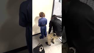 13-year-old arrested after posting gun video linked to school threat