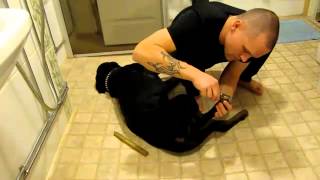 Rottweiler nail cutting