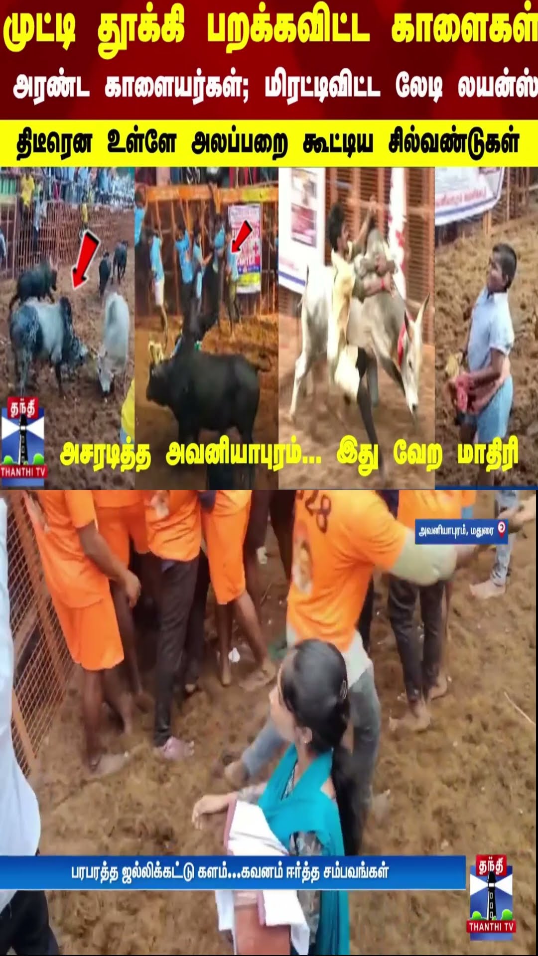 பறக்கவிட்ட காளைகள்.. அரண்ட காளையர்கள்; மிரட்டிவிட்ட லேடி லயன்ஸ் - அலப்பறை கூட்டிய சில்வண்டுகள்