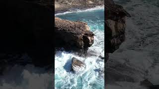 Die wilde Westseite Fuerteventuras #lapared #fuerteventura #travel #atlantic #nature #landscape