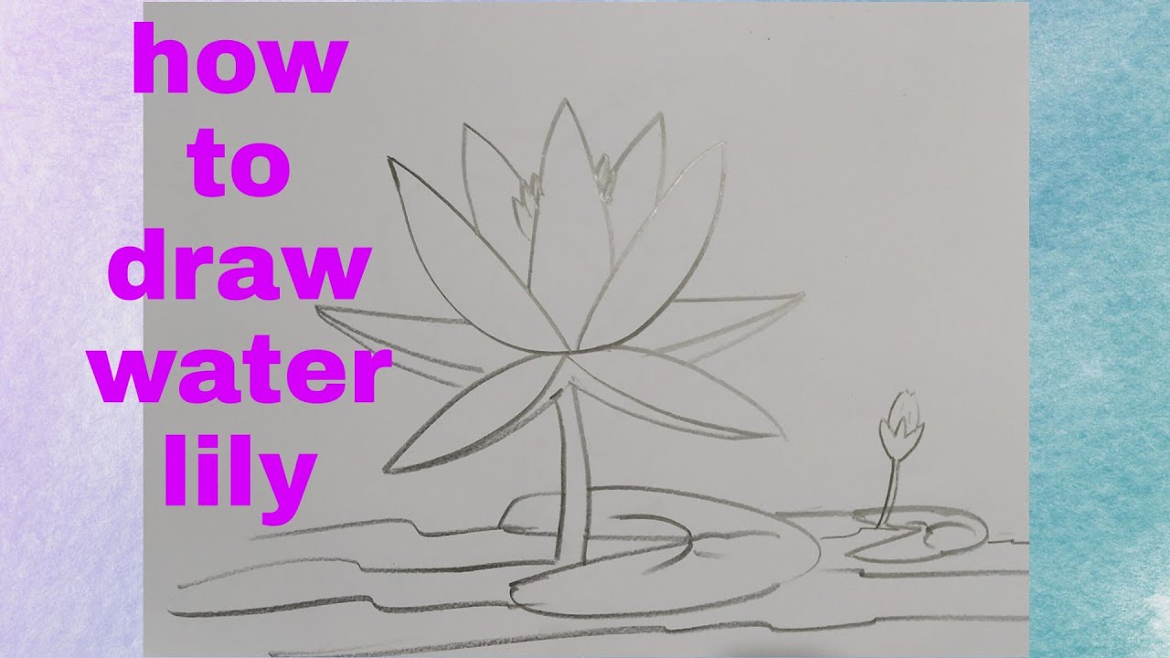 How to draw water lily step by step ( very easy) drawing art
