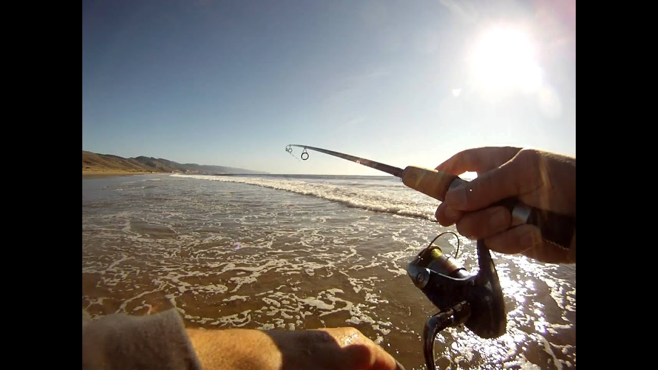 Perch caught at Limantour Beach. 