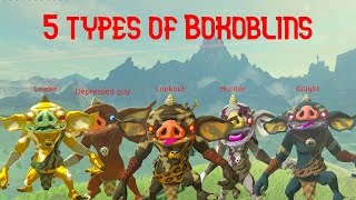 5 Types of BOKOBLINS (Botw)