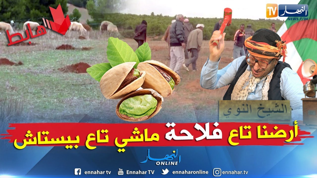 الشيخ النوي: شاهد الفلاحة العصرية بسعيدة