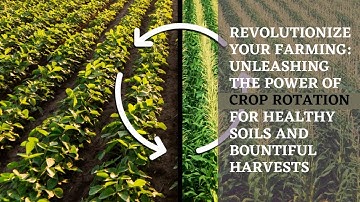 Crop Rotation Unveiled: Maximizing Soil Health and Agricultural Productivity