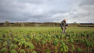How to carry out a soil compaction test