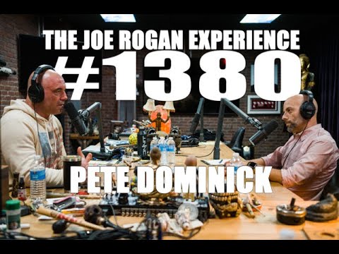 Joe Rogan Experience #1380 - Pete Dominick