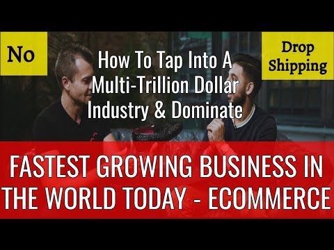 How To Start An eCommerce Business Online & Dominate - No Drop Shipping - 100% Free Course