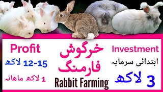 Rabbit Meat Farming Business Plan l خرگوش گوشت فارمنگ lابتدائی سرمایہ تین لاکھ l منافع بارہ لاکھ