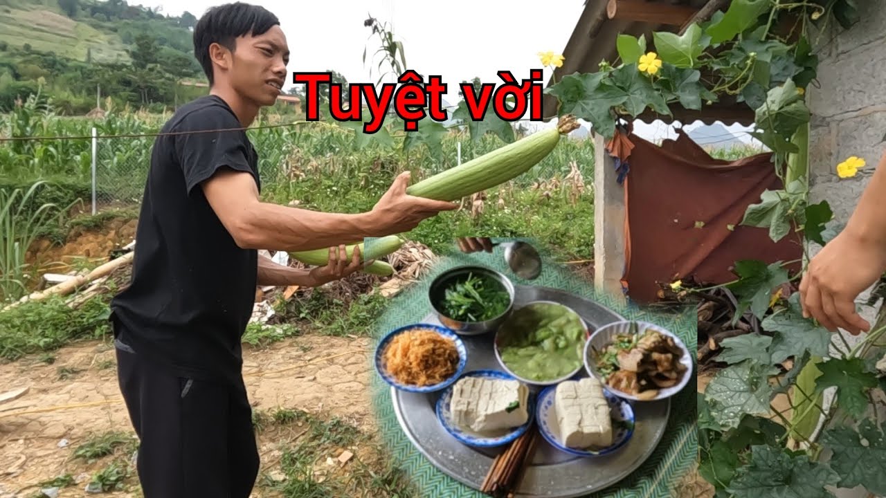 Làm Hàng rào B40 bữa cơm trưa nhà Em Vần 2 Con thưởng... - youtube