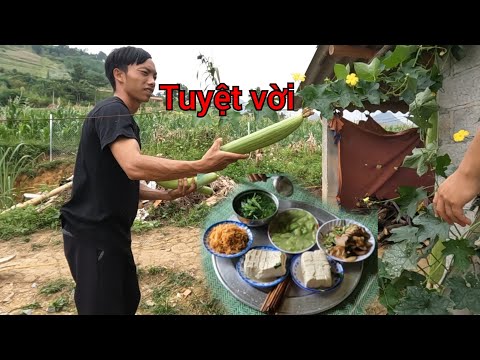 Video Làm Hàng rào B40 bữa cơm trưa nhà Em Vần 2 Con thưởng... - youtube