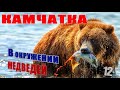 Камчатка. В окружении медведей. Kamchatka. Surrounded by bears. 12+