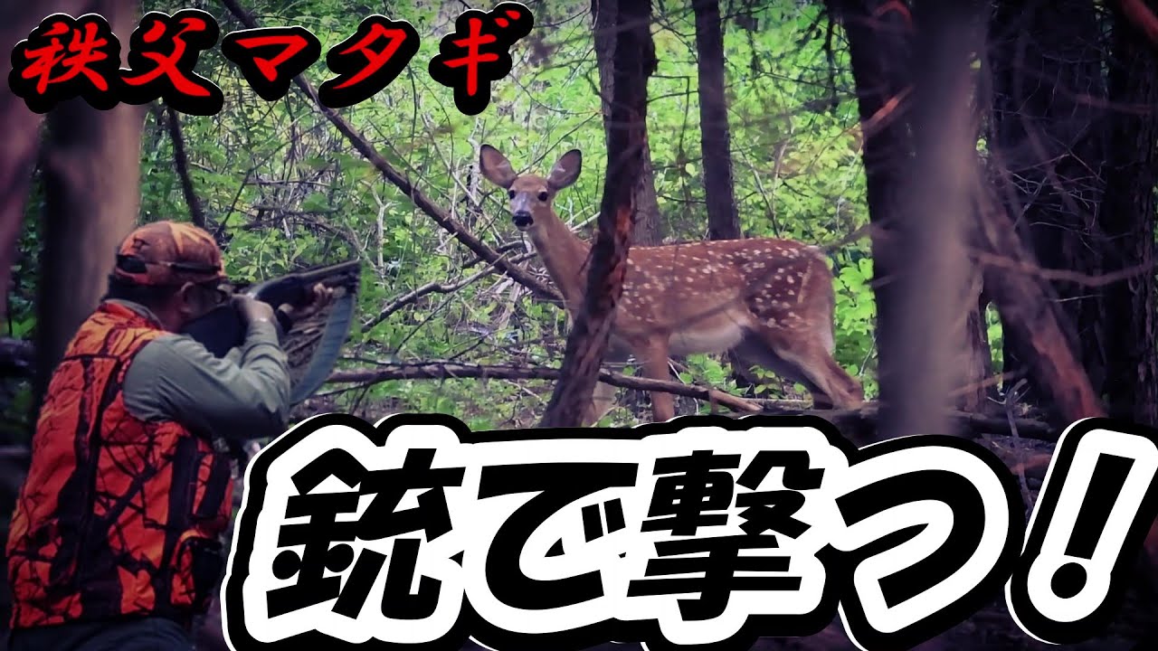 猟 鹿 猪 山 罠 楽天市場】箱罠 片扉 檻 イノシシ いのしし 猪 シカ 鹿 しか キョン 中