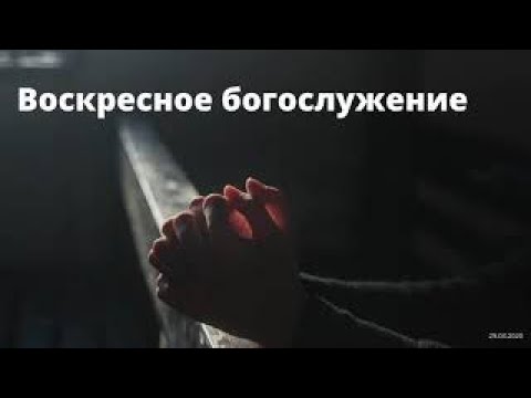 Видео: Новосибирск хотод зар сурталчилгаа хэрхэн байрлуулах