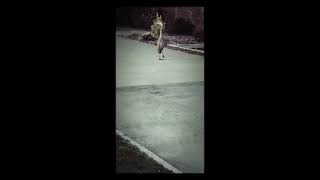 Big_bird.mp4